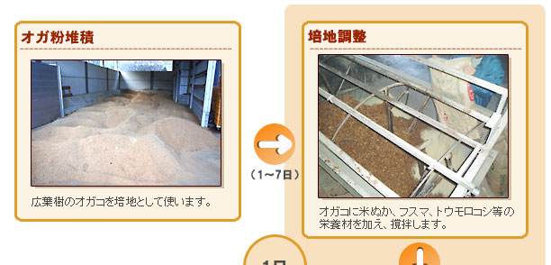 福井県特用林産振興会 きのこの作り方 菌床シイタケ