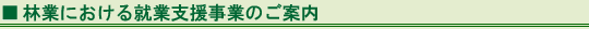 林業における就業支援事業のご案内