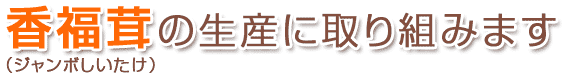 香福茸（ジャンボしいたけ）の生産に取り組みます